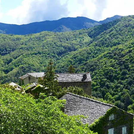 Bed & Breakfast Casa Surgente Carcheto