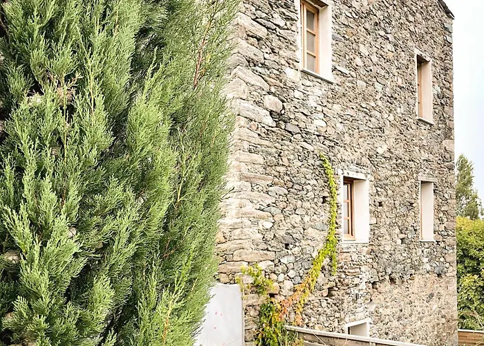 Bed & Breakfast Casa Surgente Carcheto